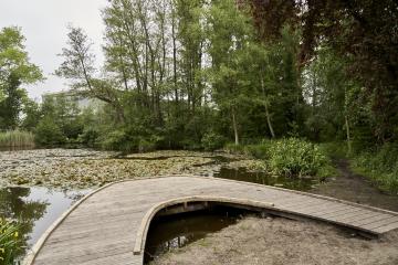 Wondelgemse meersen 078
